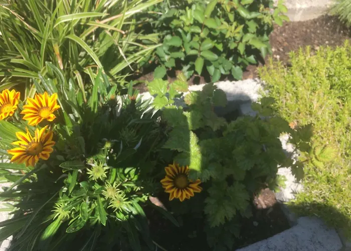 Haus Tschirgantblick Appartamento Tarrenz